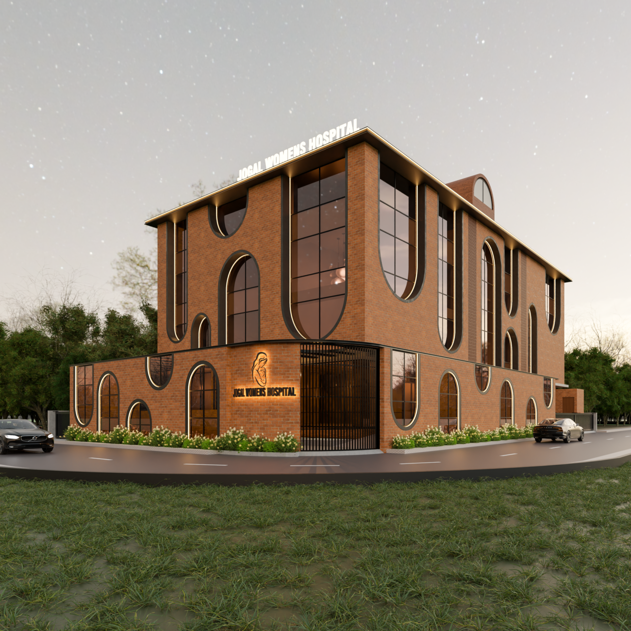 Hospital Planning & Design Portfolio